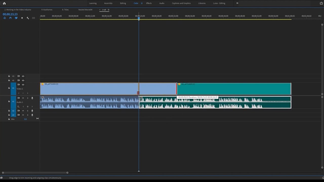 Trabajando en la industria del vídeo