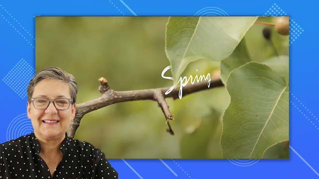 Working in the motion graphics industry part 7
